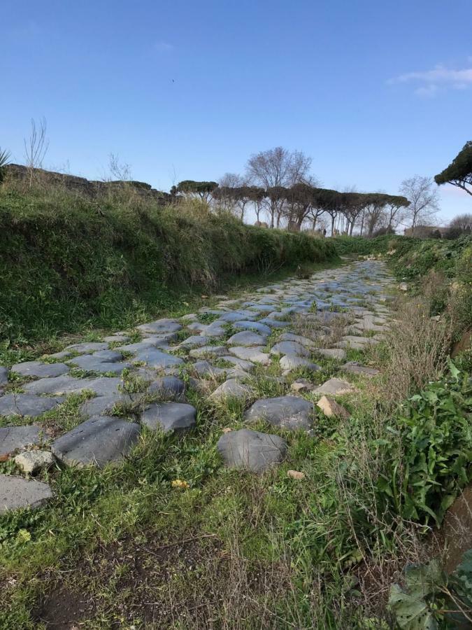 Agli Acquedotti Romani エクステリア 写真